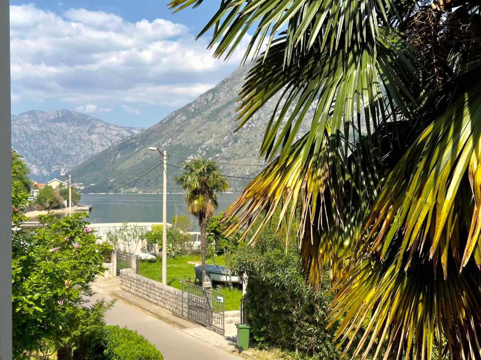 Apartments Asya Κότορ Εξωτερικό φωτογραφία